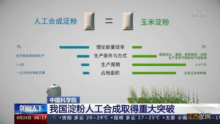 淀粉人工合成记 人工合成淀粉专家点评