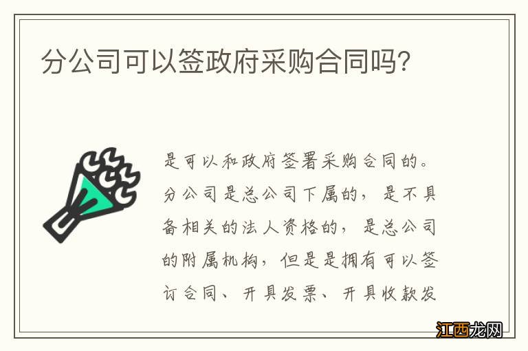 分公司可以签政府采购合同吗？