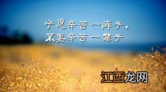 历经坎坷是什么意思