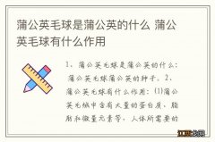 蒲公英毛球是蒲公英的什么 蒲公英毛球有什么作用