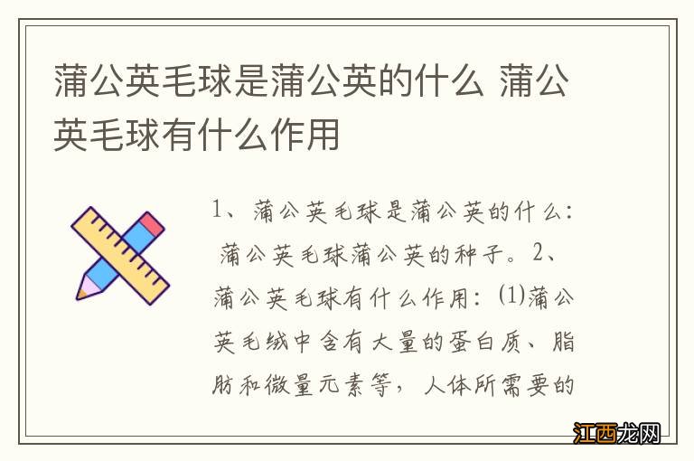 蒲公英毛球是蒲公英的什么 蒲公英毛球有什么作用