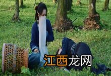 香蜜沉沉烬如霜陨丹裂第几集 香蜜沉沉烬如霜锦觅陨丹裂哪集