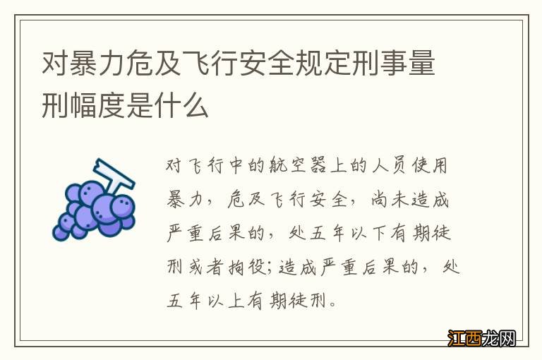 对暴力危及飞行安全规定刑事量刑幅度是什么