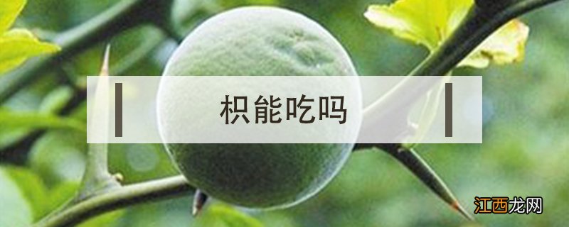 枳能吃吗