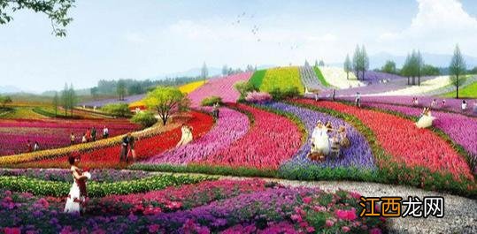 自驾南昌最美公路 南昌旅游攻略自驾游最佳路线推荐