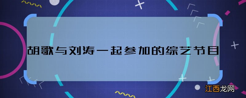 胡歌与刘涛一起参加的综艺节目 胡歌与刘涛合作的综艺叫什么