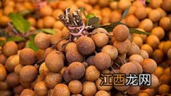 桂圆什么时候成熟