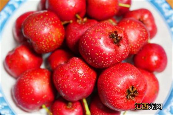 最护肝的水果 最养肝护肝的水果排行榜