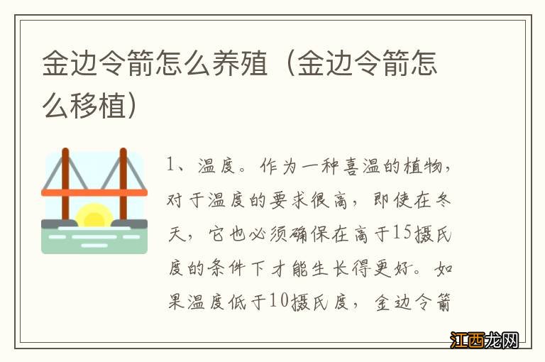 金边令箭怎么移植 金边令箭怎么养殖