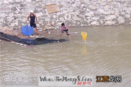 梦见抓鱼的寓意 梦见抓鱼好不好
