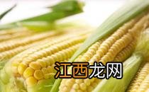 老玉米和嫩玉米怎么辨别？教你挑出好玉米