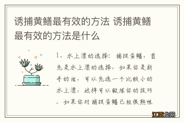 诱捕黄鳝最有效的方法 诱捕黄鳝最有效的方法是什么