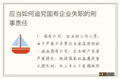 应当如何追究国有企业失职的刑事责任