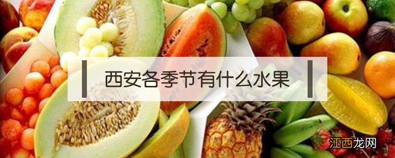 西安各季节有什么水果