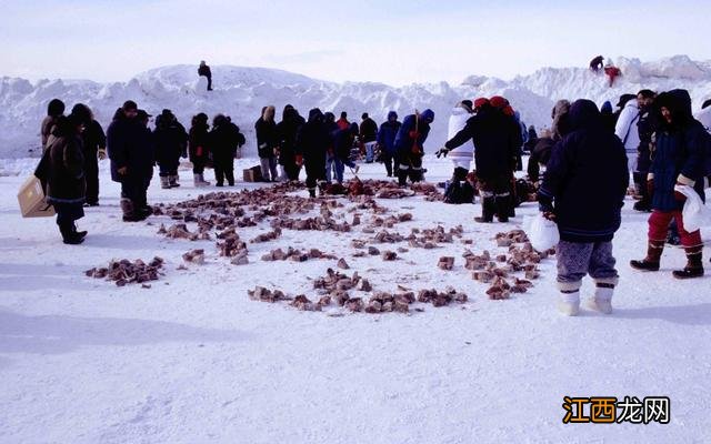 究竟是基因变异还是另有原因 爱斯基摩人吃生肉得病吗