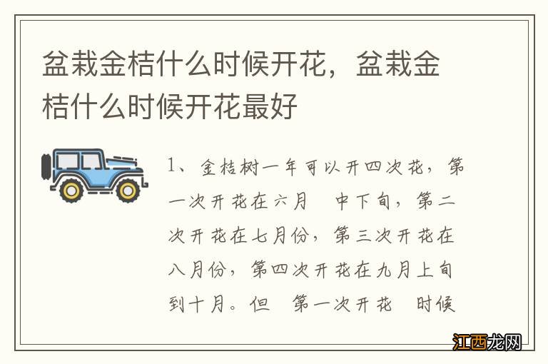 盆栽金桔什么时候开花，盆栽金桔什么时候开花最好