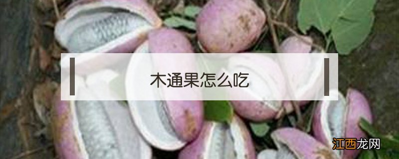 木通果怎么吃