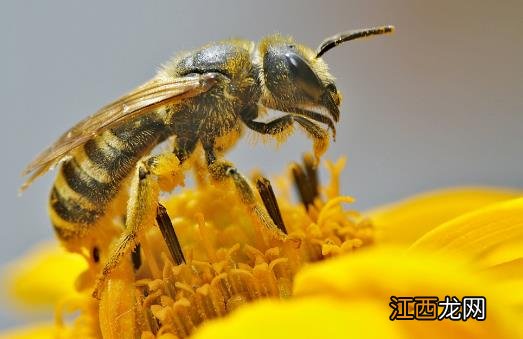 生活中常见的急救小常识 了解更多的日常急救方法