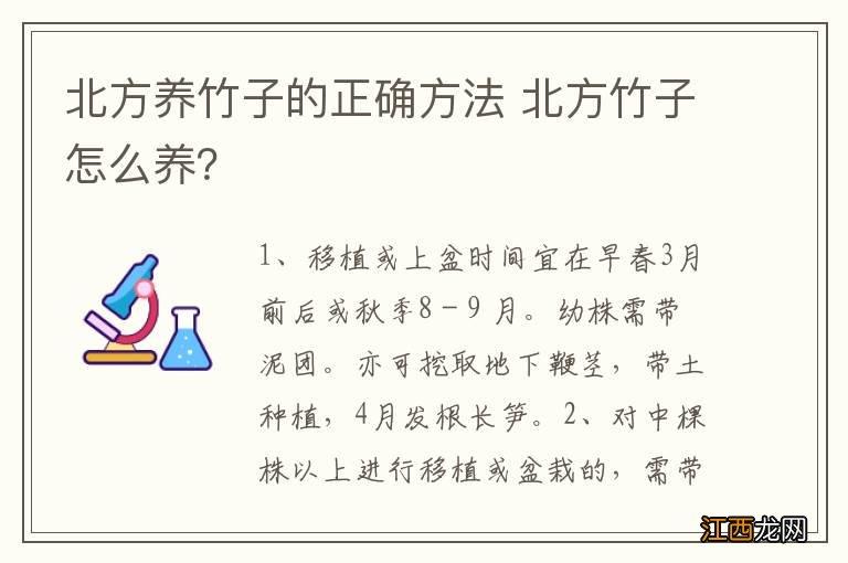 北方养竹子的正确方法 北方竹子怎么养？