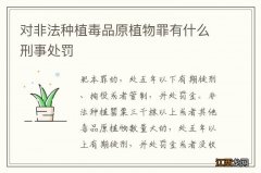 对非法种植毒品原植物罪有什么刑事处罚