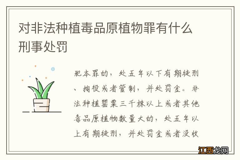 对非法种植毒品原植物罪有什么刑事处罚