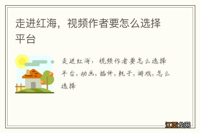 走进红海，视频作者要怎么选择平台
