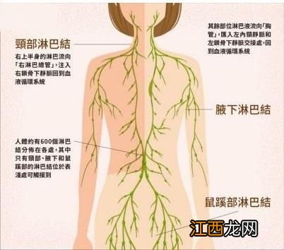 淋巴按摩每天做 淋巴水肿可以按摩吗