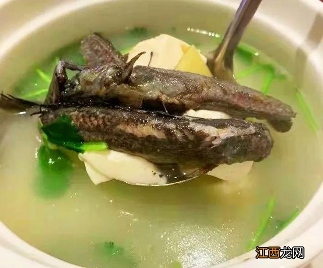 这六种时令江河鲜正当造 未熟的河鲜有哪些