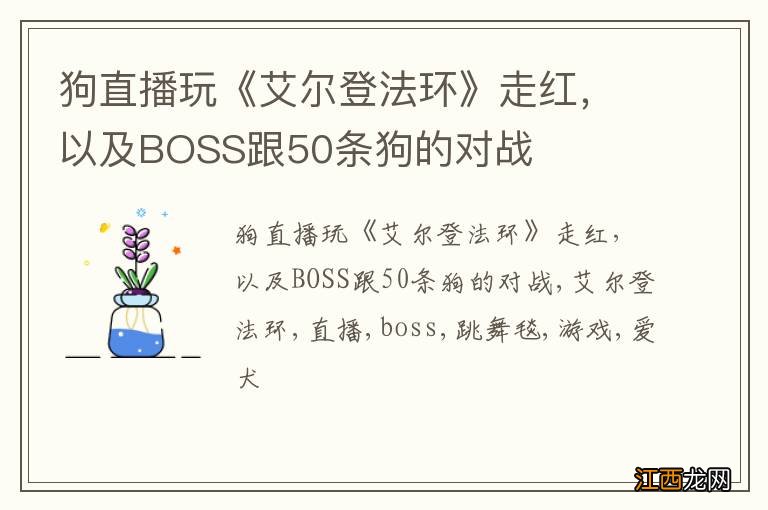 狗直播玩《艾尔登法环》走红，以及BOSS跟50条狗的对战