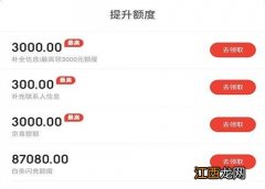 白条闪充额度是什么意思