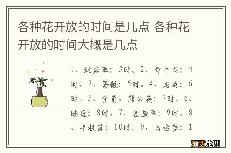 各种花开放的时间是几点 各种花开放的时间大概是几点