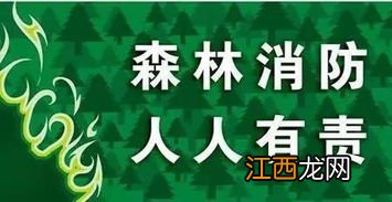 森林防火措施有哪些 森林防火措施