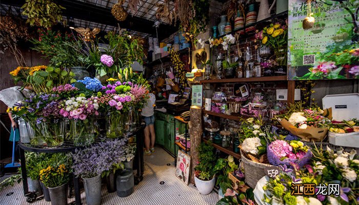 客厅电视柜上放什么花好 客厅电视柜上适合摆什么花