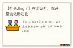 【社长Jing了】在游研社，你甚至能救助动物