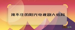 掩不住的阳光电视剧大结局 掩不住的阳光结局怎样