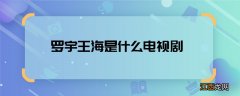 罗宇王海是什么电视剧 罗宇王海哪部电视角色