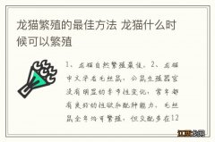 龙猫繁殖的最佳方法 龙猫什么时候可以繁殖