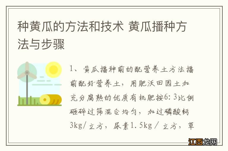 种黄瓜的方法和技术 黄瓜播种方法与步骤