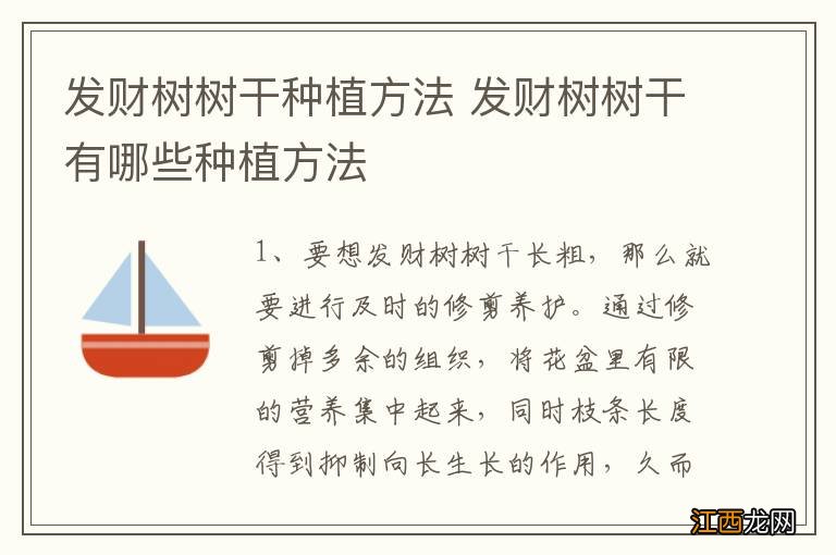 发财树树干种植方法 发财树树干有哪些种植方法