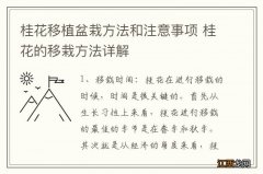 桂花移植盆栽方法和注意事项 桂花的移栽方法详解