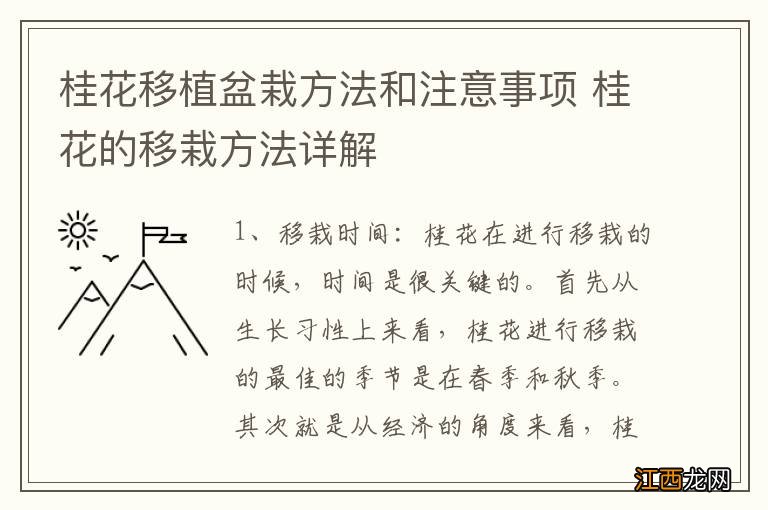 桂花移植盆栽方法和注意事项 桂花的移栽方法详解