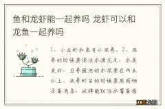 鱼和龙虾能一起养吗 龙虾可以和龙鱼一起养吗