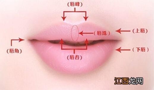 你想不想要一个嘟嘟唇-且看玻尿酸丰唇是怎么做的 玻尿酸丰唇和脂肪丰唇