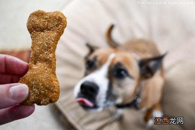 给狗狗买零食淀粉类的少买 成年狗狗还能吃幼犬粮吗