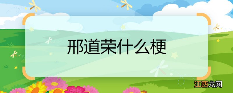 邢道荣什么梗 邢道荣的梗的意思