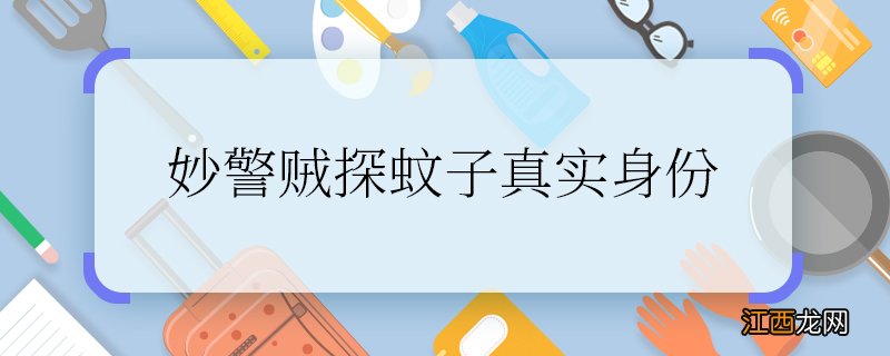 妙警贼探蚊子真实身份 妙警贼探蚊子的身份是什么