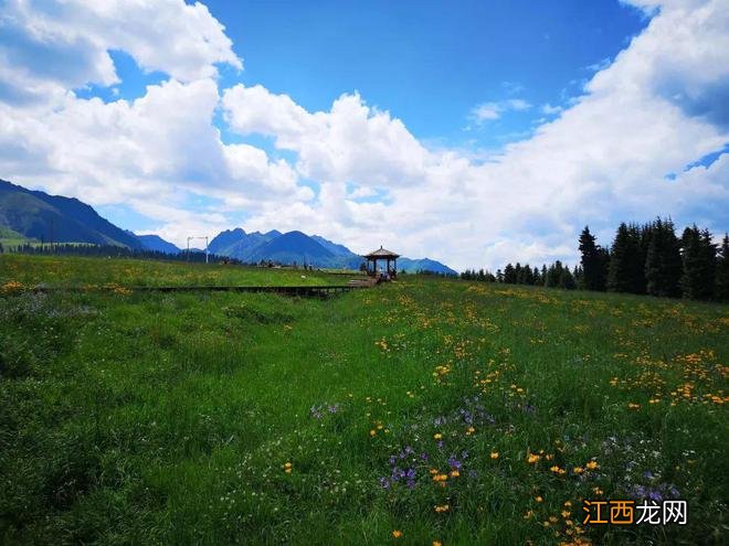 新疆乌鲁木齐周边除了天山天池，还有个地方值得一去，安静游客少