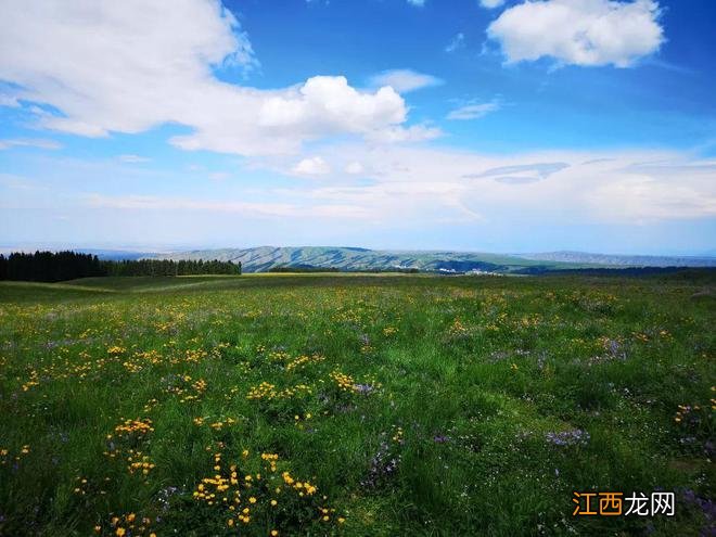 新疆乌鲁木齐周边除了天山天池，还有个地方值得一去，安静游客少