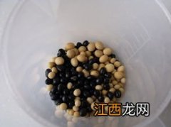 黑豆泡多久可以打豆浆