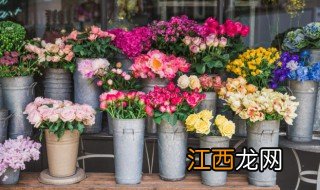 形容花开的漂亮的短句朋友圈 有什么表达花开的漂亮的短句